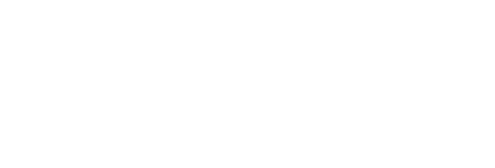 Renegade logo established 1996